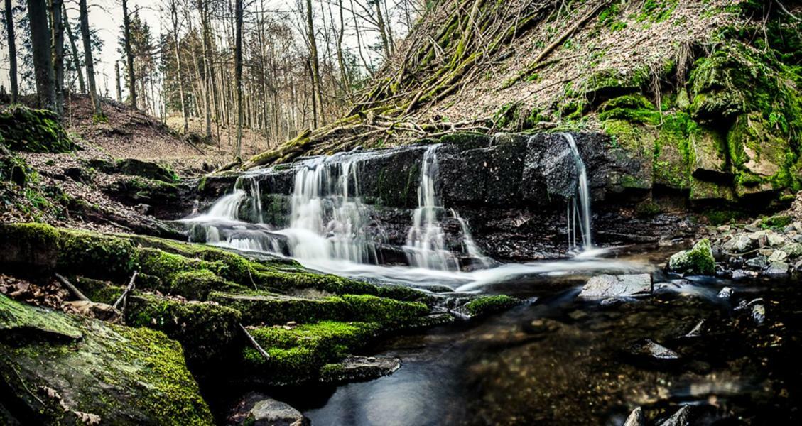 Landhaus Rhoenium Gersfeld Dış mekan fotoğraf